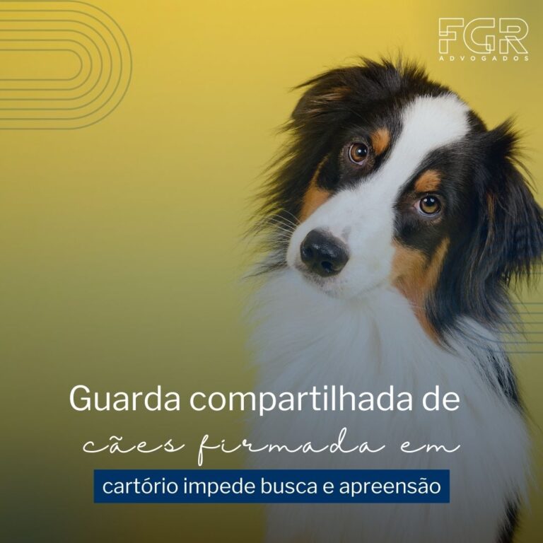 Leia mais sobre o artigo Guarda compartilhada de cães firmada em cartório impede busca e apreensão