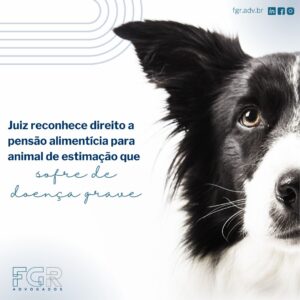 pensão alimentícia para animal de estimação